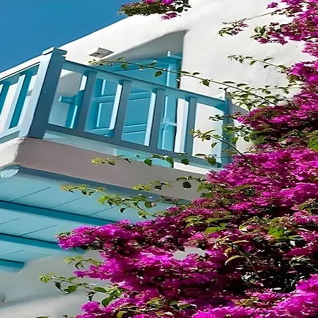 Cosy Flat On The Shore - 1bd2p - Mykonos Ξενοδοχείο